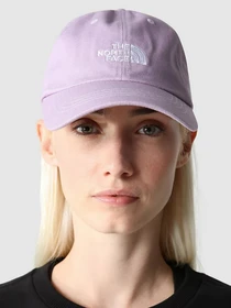 Шапки и кепки The North Face Norm Hat модель NF0A3SH36S11 Фото