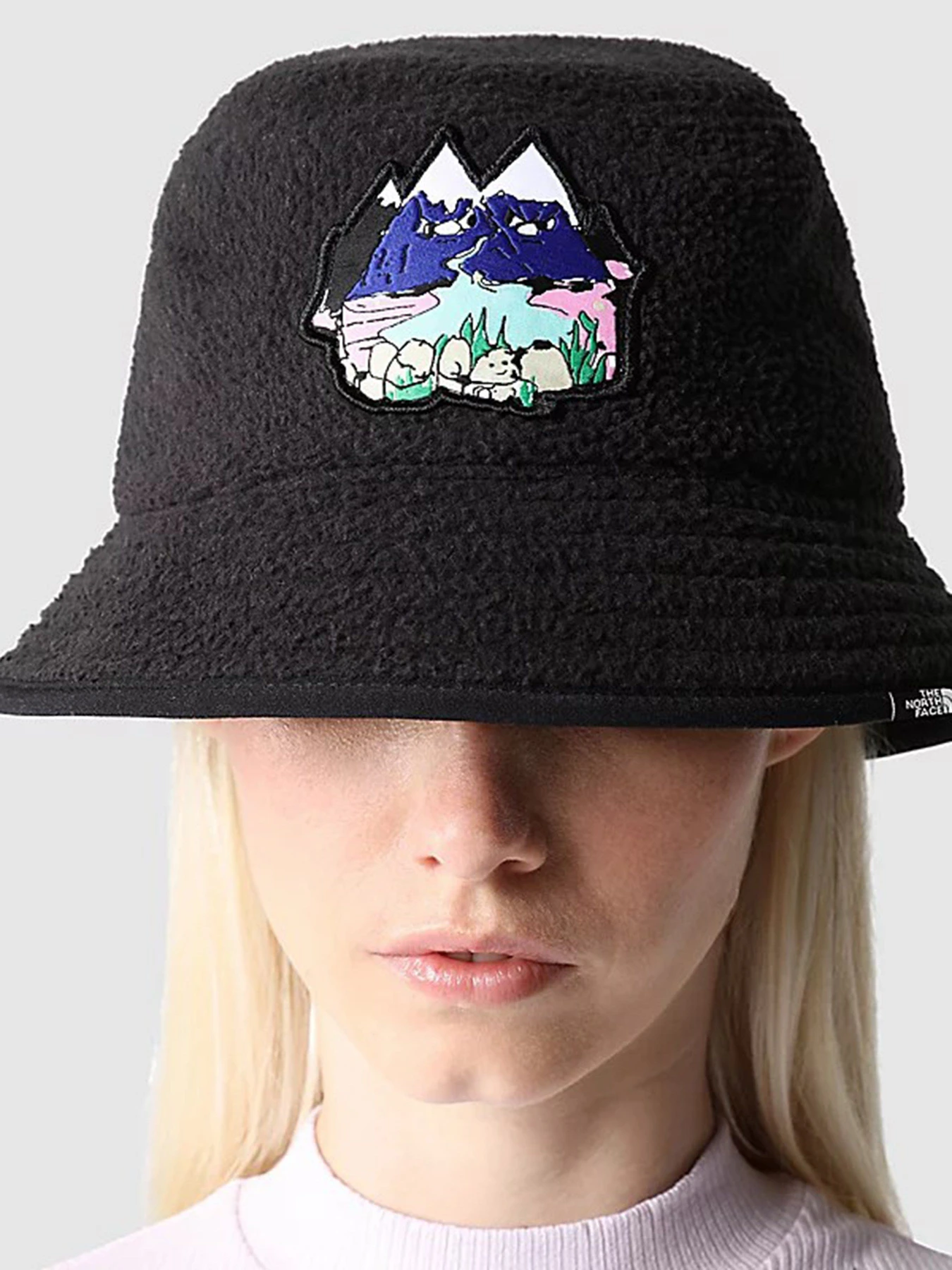 Шапки та кепки The North Face Fleeski Street Alfie Kungu модель NF0A3SJ16K31 Шапки та кепки The North Face Fleeski Street Alfie Kungu модель NF0A3SJ16K31 Фото