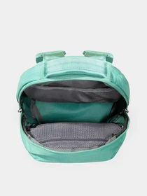 Рюкзаки The North Face Borealis Mini модель NF0A52SW8601 Фото