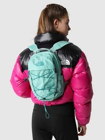Рюкзаки The North Face Borealis Mini модель NF0A52SW8601 Фото