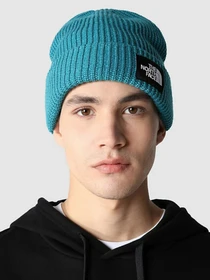 Шапки и кепки The North Face Salty Dog Beanie модель NF0A3FJW2W91 Фото