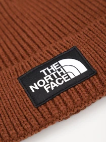 Шапки и кепки The North Face Logo Box модель NF0A3FJX6S21 Фото