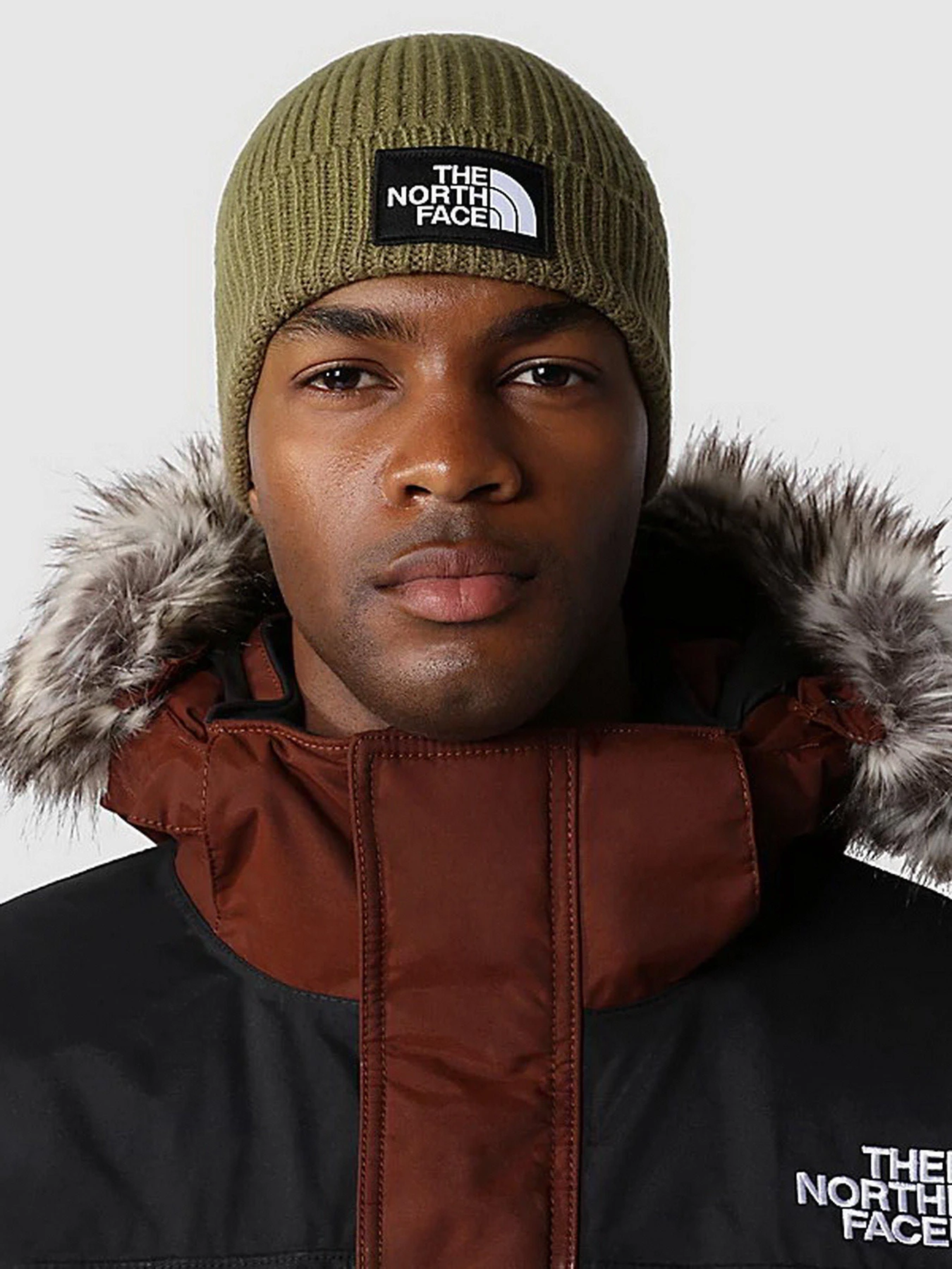 Шапки и кепки The North Face Logo Box Cuffed Beanie модель NF0A3FJX37U1 Шапки и кепки The North Face Logo Box Cuffed Beanie модель NF0A3FJX37U1 Фото