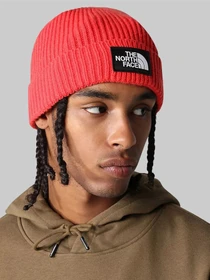 Шапки и кепки The North Face Logo Box Cuffed Beanie модель NF0A3FJX6821 Фото