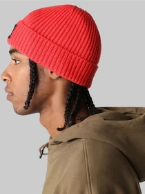 Шапки и кепки The North Face Logo Box Cuffed Beanie модель NF0A3FJX6821 Фото