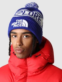 Шапки и кепки The North Face Retro TNF™ Pom Beanie модель NF0A3FMP40S1 Фото