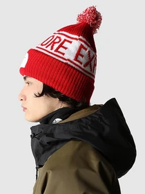 Шапки и кепки The North Face Retro TNF™ Pom Beanie модель NF0A3FMP6821 Фото
