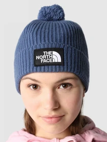 Шапки и кепки The North Face Logo Box Pom Beanie модель NF0A3FN3HDC1 Фото