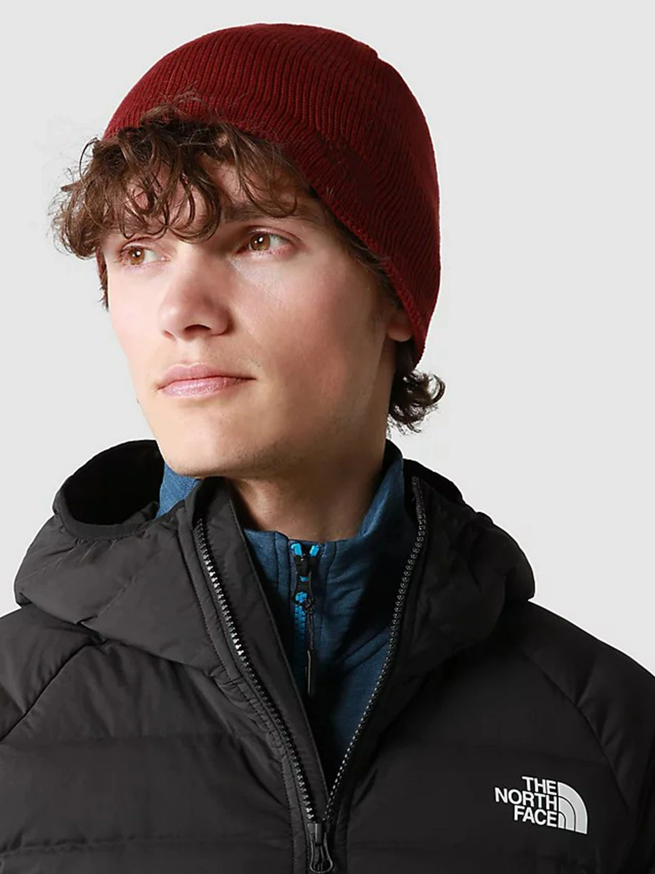 Шапки и кепки The North Face Bones Recyced Beanie модель NF0A3FNS6R31 Шапки и кепки The North Face Bones Recyced Beanie модель NF0A3FNS6R31 Фото