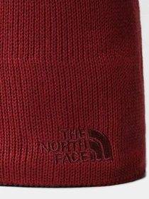 Шапки и кепки The North Face Bones Recyced Beanie модель NF0A3FNS6R31 Фото