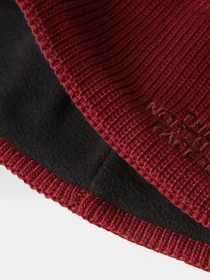 Шапки и кепки The North Face Bones Recyced Beanie модель NF0A3FNS6R31 Фото