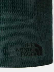 Шапки и кепки The North Face Bones Recyced Beanie модель NF0A3FNSD7V1 Фото