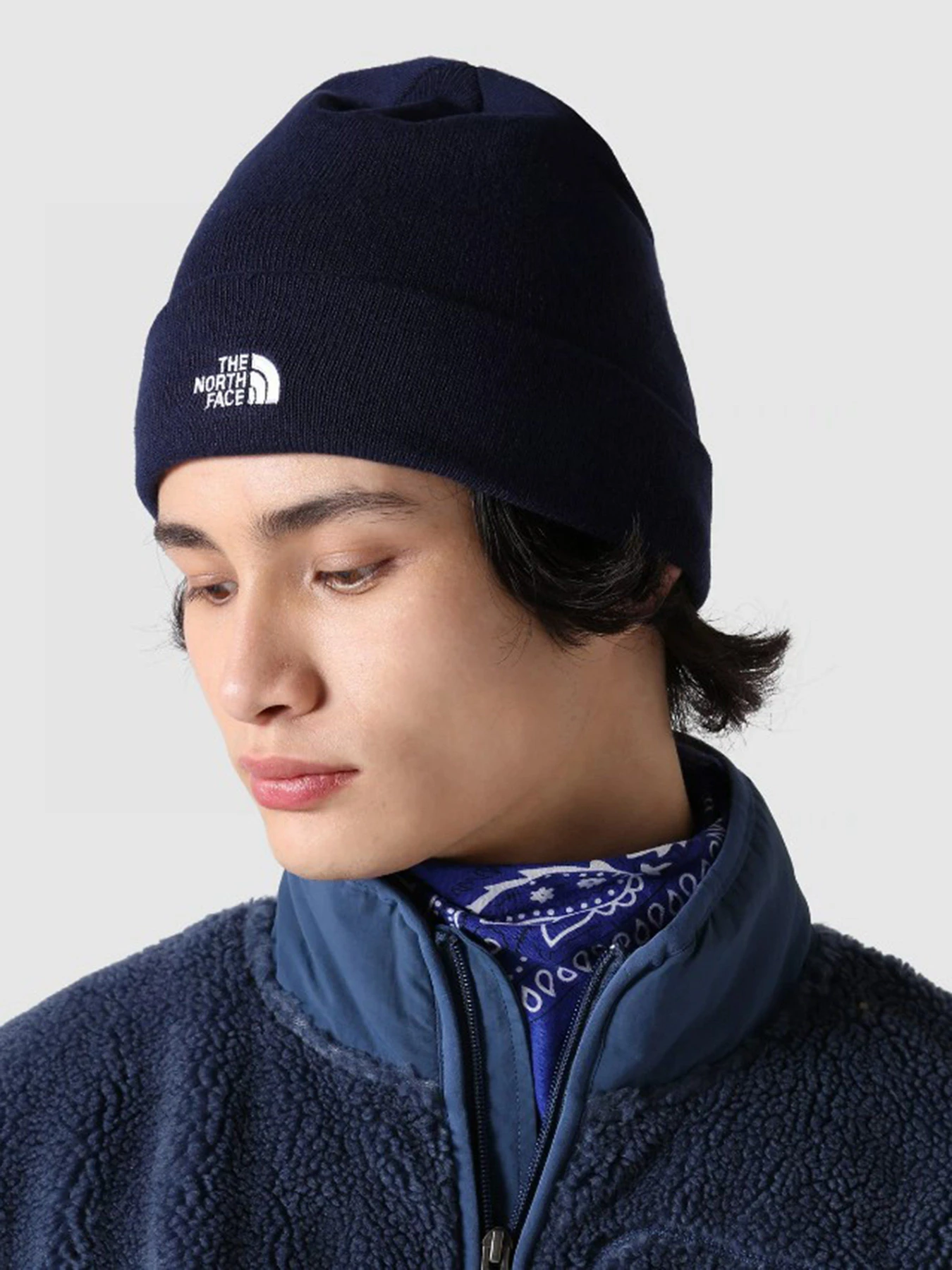 Шапки и кепки The North Face Norm Beanie модель NF0A5FW18K21 Шапки и кепки The North Face Norm Beanie модель NF0A5FW18K21 Фото