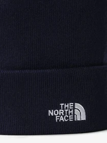 Шапки и кепки The North Face Norm Beanie модель NF0A5FW18K21 Фото