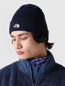 Шапки и кепки The North Face Norm Beanie модель NF0A5FW18K21 Фото