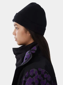 Шапки и кепки The North Face Norm Beanie модель NF0A5FW1JK31 Фото