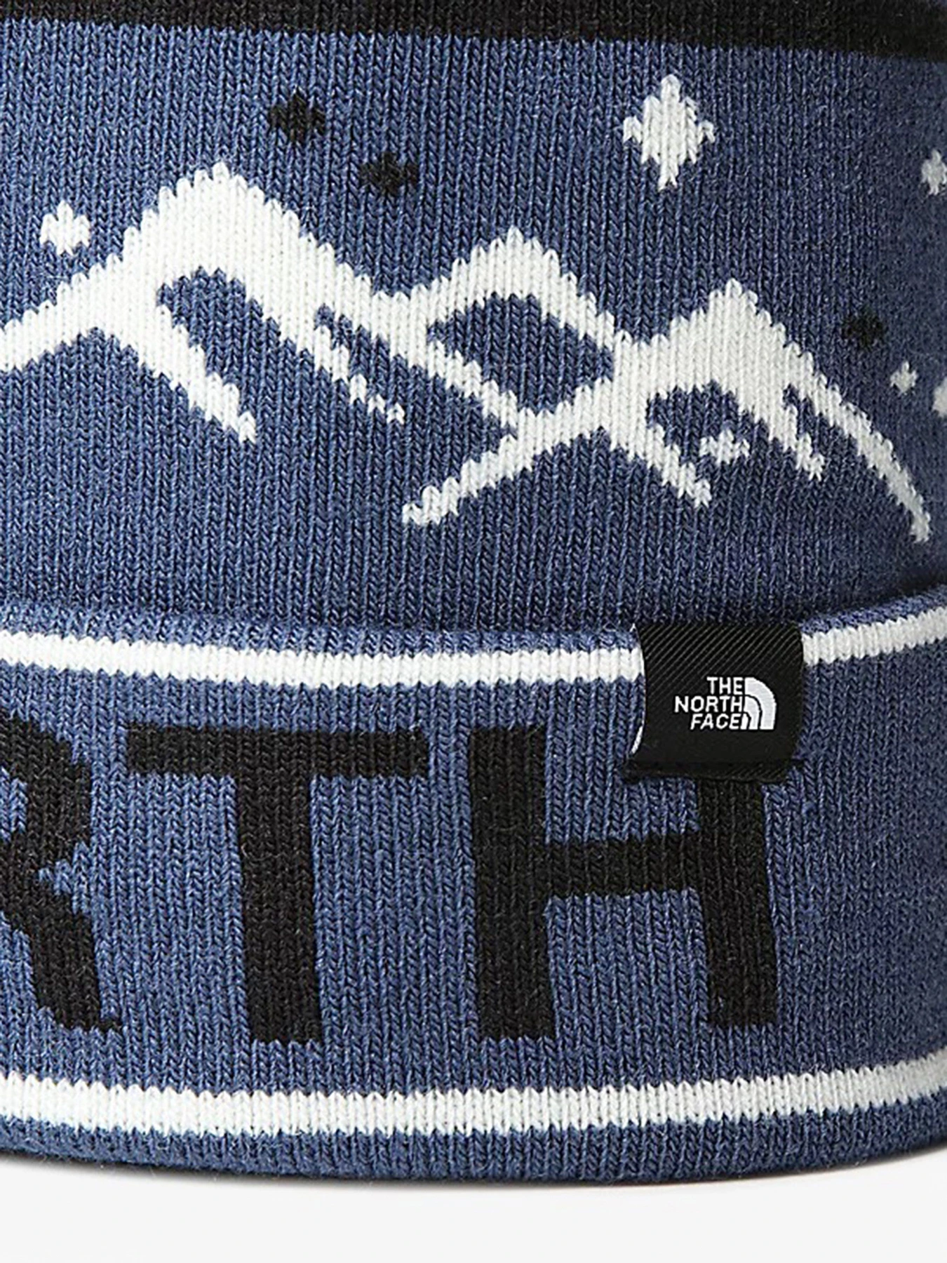 Шапки та кепки The North Face Ski Tuke модель NF0A7WG6HDC1 Шапки та кепки The North Face Ski Tuke модель NF0A7WG6HDC1 Фото