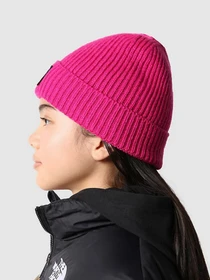 Шапки та кепки The North Face Kids Box Logo Cuffed Beanie модель NF0A7WGC1461 Фото