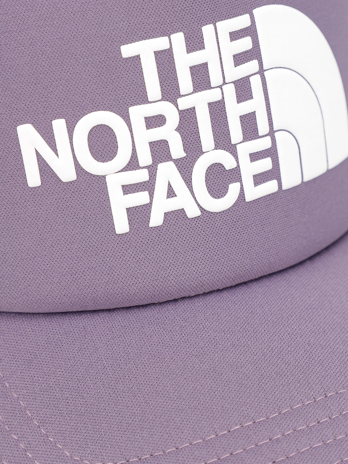 Шапки и кепки The North Face Logo Trucker модель NF0A3FM3N141 Фото