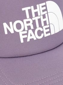 Шапки и кепки The North Face Logo Trucker модель NF0A3FM3N141 Фото