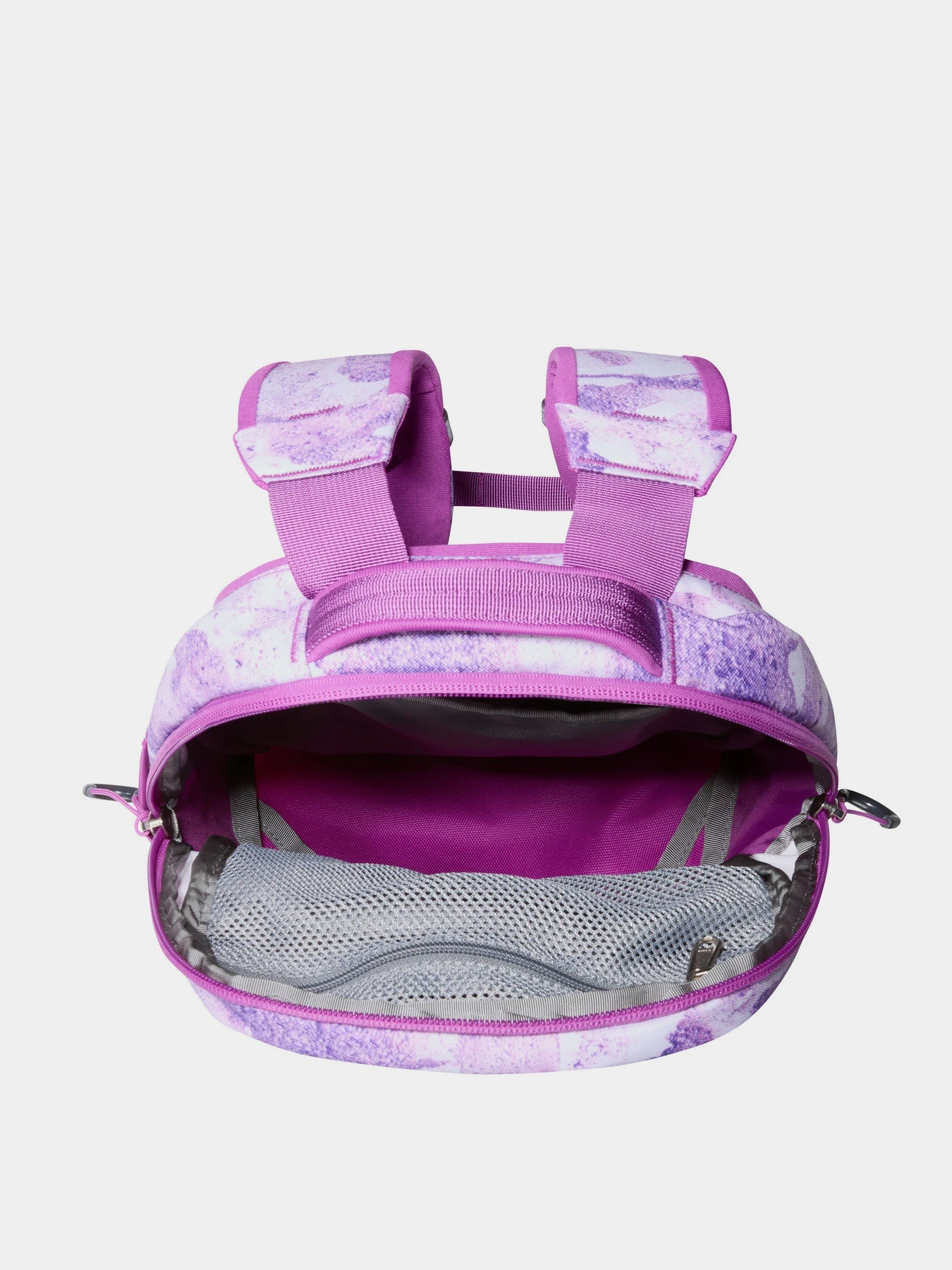 Рюкзаки The North Face Borealis Mini 10L модель NF0A52SWIYN1 Фото