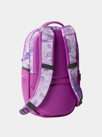 Рюкзаки The North Face Borealis Mini 10L модель NF0A52SWIYN1 Фото