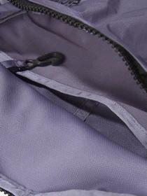 Сумки The North Face модель NF0A52TJLK31 Фото