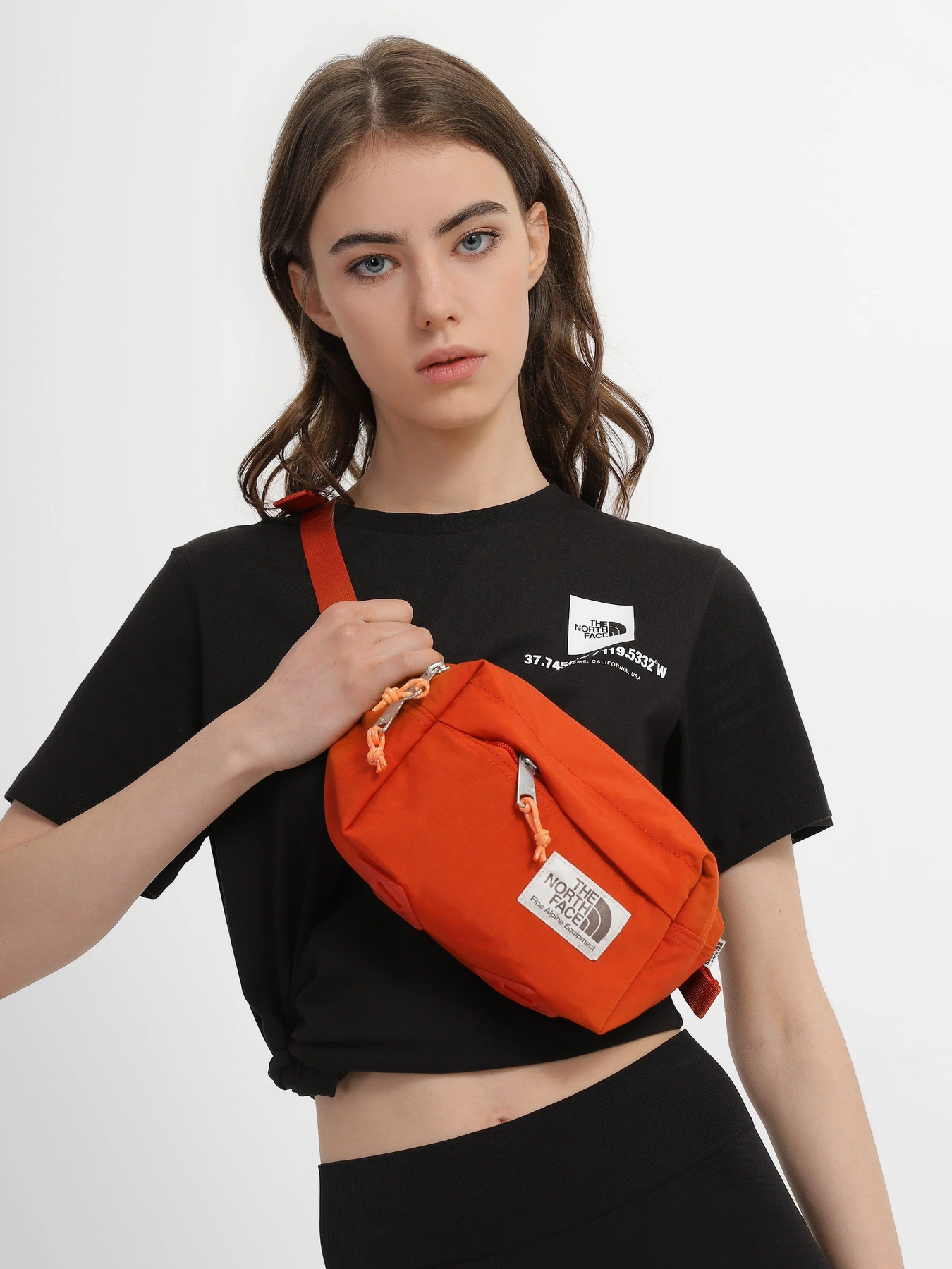 Сумки The North Face Berkeley модель NF0A52VUIT11 Сумки The North Face Berkeley модель NF0A52VUIT11 Фото