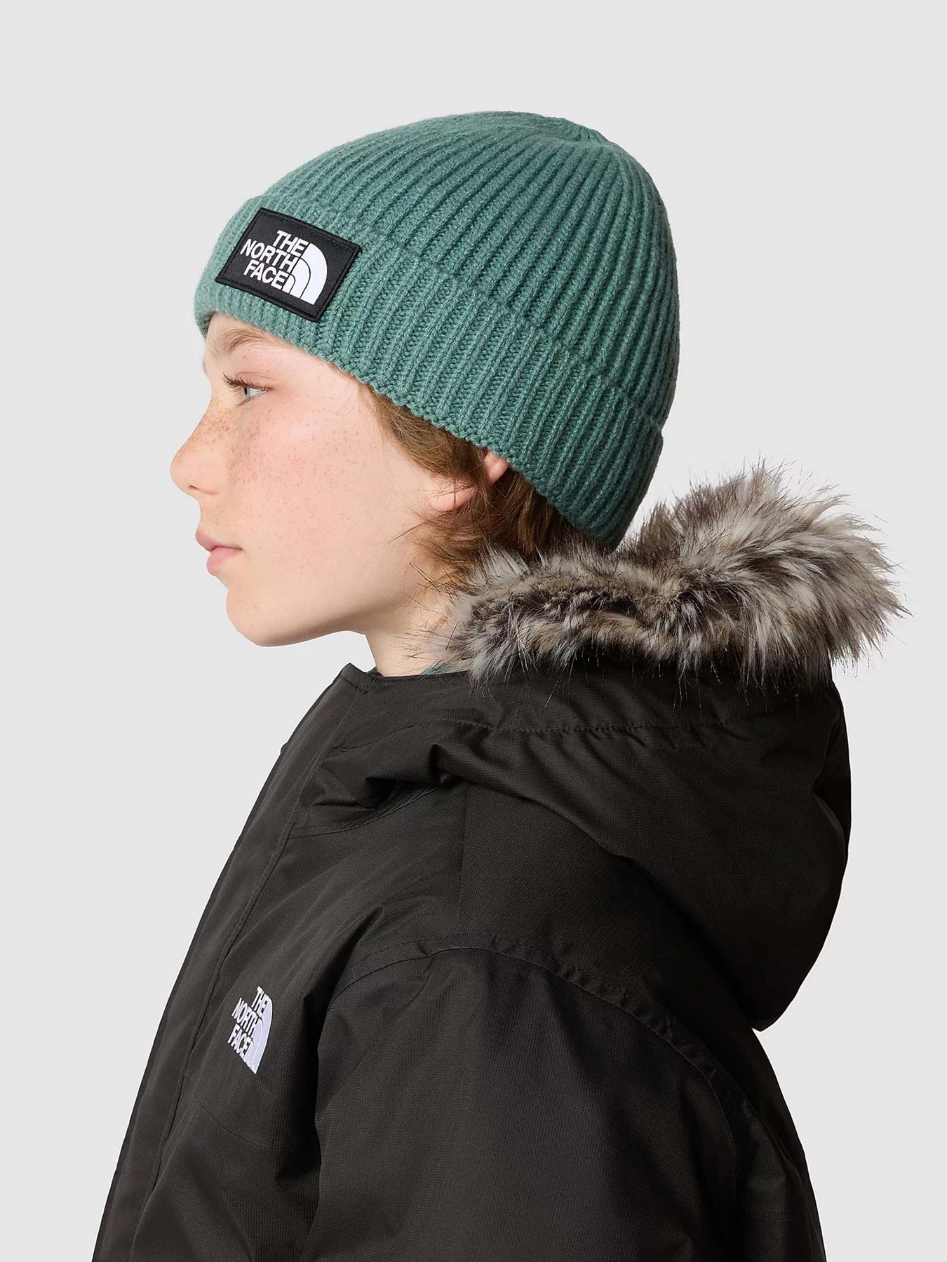 Шапки и кепки The North Face Box Logo Cuffed модель NF0A7WGCI0F1 Шапки и кепки The North Face Box Logo Cuffed модель NF0A7WGCI0F1 Фото