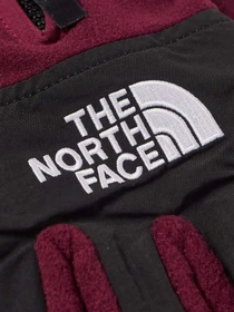Перчатки и варежки The North Face Denali Etip модель NF0A7RJBI0H1 Фото