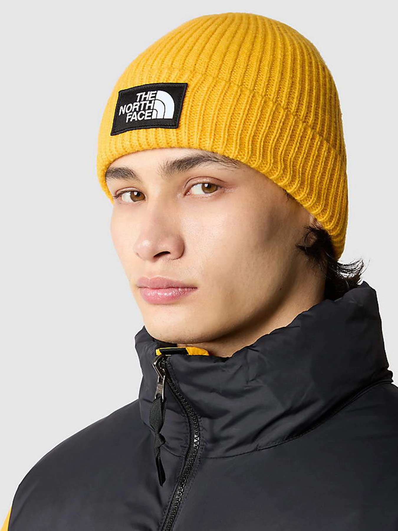 Шапки та кепки The North Face Logo Box Cuffed Beanie модель NF0A3FJX56P1 Шапки та кепки The North Face Logo Box Cuffed Beanie модель NF0A3FJX56P1 Фото