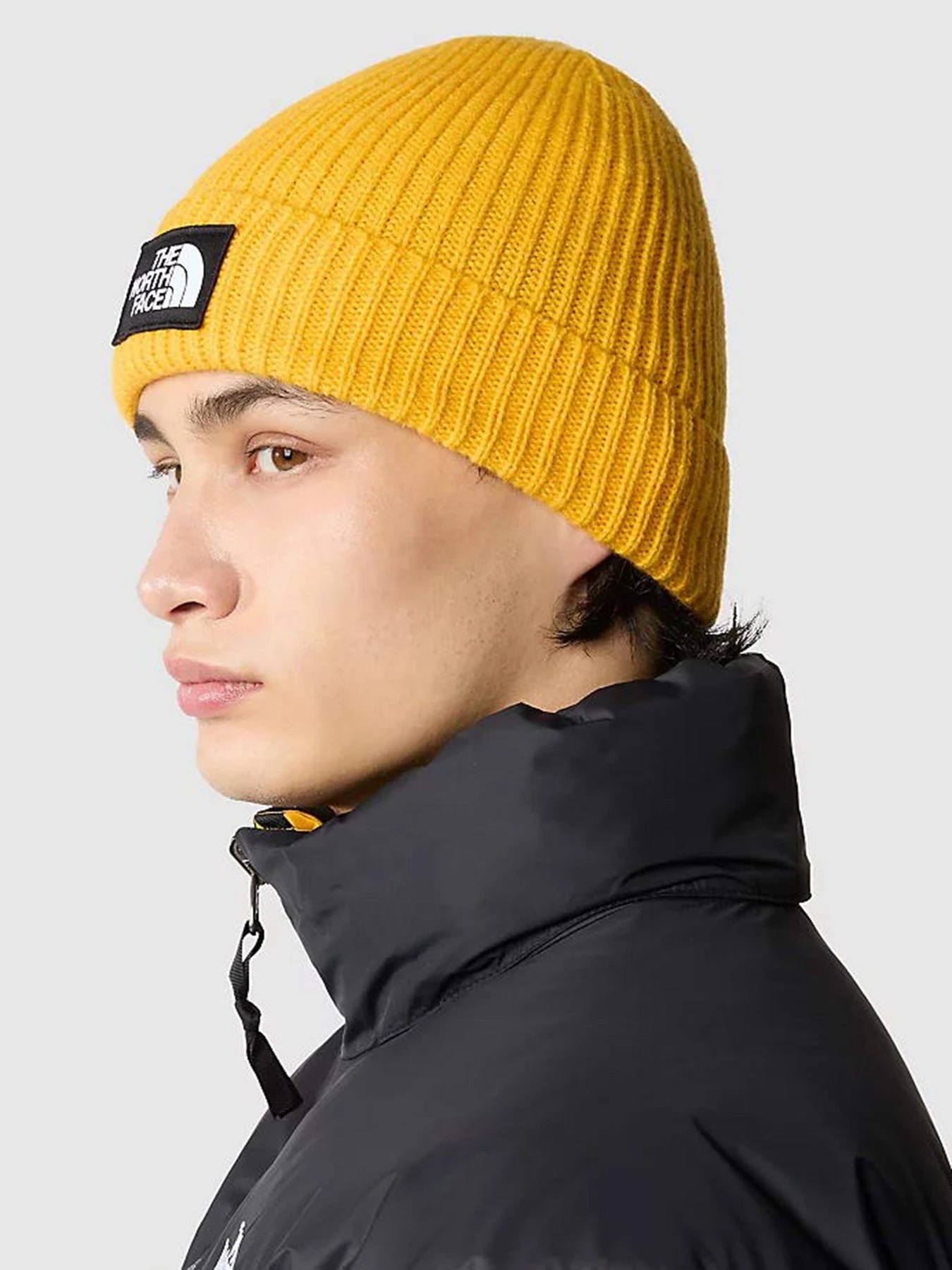 Шапки та кепки The North Face Logo Box Cuffed Beanie модель NF0A3FJX56P1 Шапки та кепки The North Face Logo Box Cuffed Beanie модель NF0A3FJX56P1 Фото