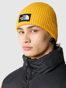 Шапки та кепки The North Face Logo Box Cuffed Beanie модель NF0A3FJX56P1 Фото