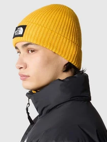 Шапки та кепки The North Face Logo Box Cuffed Beanie модель NF0A3FJX56P1 Фото