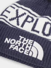 Шапки и кепки The North Face Retro TNF™ Pom Beanie модель NF0A3FMPOQ01 Фото