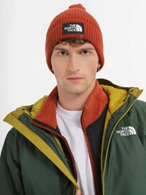 Шапки и кепки The North Face Logo Box Pom модель NF0A3FN3UBC1 Фото