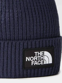 Шапки та кепки The North Face Logo Box модель NF0A3FN38K21 Фото