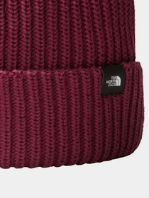 Шапки и кепки The North Face Fisherman Beanie модель NF0A55JGI0H1 Фото