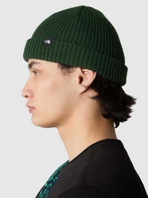 Шапки та кепки The North Face Fisherman Beanie модель NF0A55JGI0P1 Фото