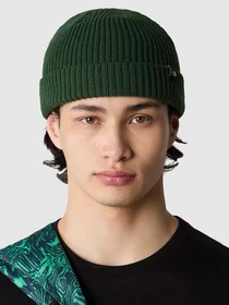 Шапки та кепки The North Face Fisherman Beanie модель NF0A55JGI0P1 Фото