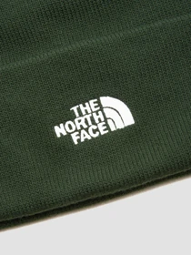 Шапки та кепки The North Face Norm модель NF0A5FW1I0P1 Фото