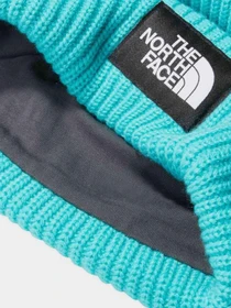 Шапки и кепки The North Face Salty Dog Beanie модель NF0A3FJWI0T1 Фото