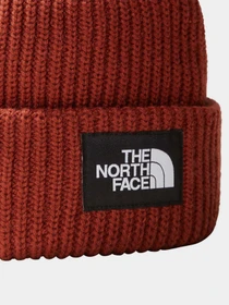 Шапки и кепки The North Face Salty Dog Beanie модель NF0A3FJWUBC1 Фото