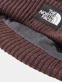 Шапки та кепки The North Face Salty Dog Beanie модель NF0A3FJWI0I1 Фото