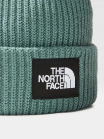 Шапки та кепки The North Face Salty Dog Beanie модель NF0A3FJWI0F1 Фото