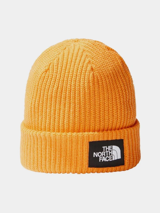 Шапки та кепки The North Face Salty Dog Beanie модель NF0A3FJW56P1 Фото