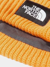 Шапки и кепки The North Face Salty Dog Beanie модель NF0A3FJW56P1 Фото