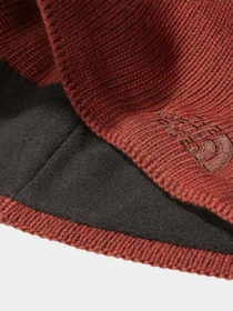 Шапки та кепки The North Face Bones Recycled Beanie модель NF0A3FNSVBZ1 Фото