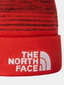 Шапки и кепки The North Face Worker Recycled Beanie модель NF0A3FNTTJ21 Фото