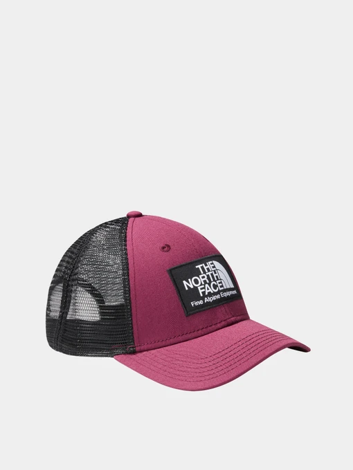 Шапки та кепки The North Face Mudder Trucker модель NF0A5FXAI0H1 Фото